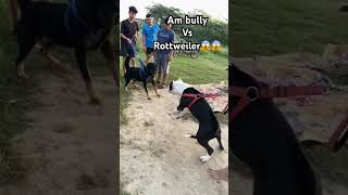 Scar fight with roatwiler puppy😱😱😱👀👀shorts short viral trending youtubeshorts youtube reels [upl. by Learsi]