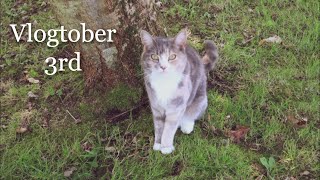 Theres Something in the Woodshed  Vlogtober 3rd 2024 [upl. by Aber631]