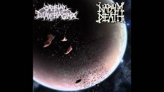 Carnal Diafragma  Unchallenged Hate Napalm Death Cover HQ [upl. by Michale743]