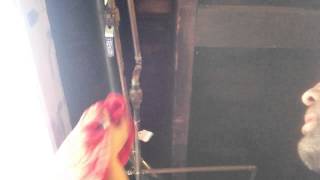 DIY how to fix ball valve leaking at handle [upl. by Hamburger795]