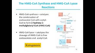 Fatty acid catabolism IV [upl. by Ahsinak]