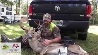 Bowhunting Deer Big Florida Buck Goes Down [upl. by Nylecsoj]