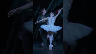 Swan Lake – End of Act II The Royal Ballet shorts RoyalOperaHouse [upl. by Nerro]