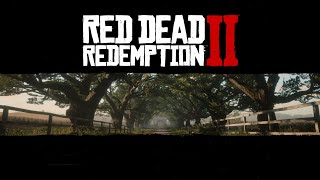 Story Mode 65  Une rage sans limite  RDR2 with RTX  FR [upl. by Lustig]