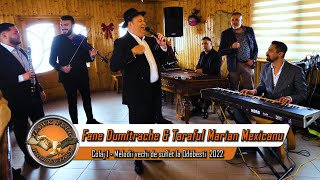 Taraful Marian Mexicanu amp Fane Dumitrache  Colaj 1 Melodii vechi de suflet la Odobesti 2022 [upl. by Aicila]