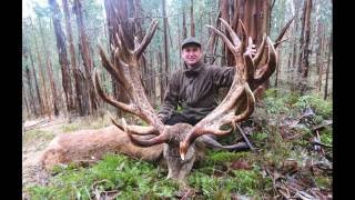 Red stag hunting in New Zealand 2016 [upl. by Godwin262]