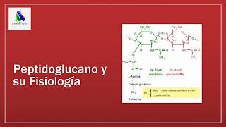 Artritis y Poliartritis Estafilocócica p1 [upl. by Ynej]