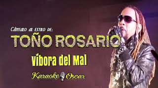 Víbora Del Mal  Toño Rosario Desvocalizado Karaoke [upl. by Bran787]