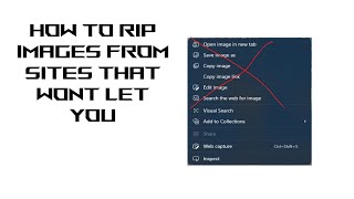 How to rip most images of any site that wont let you download it [upl. by Jolda404]
