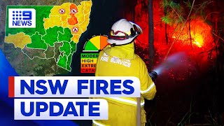 Homes lost and land destroyed in terrifying taste of bushfire season in NSW  9 News Australia [upl. by Arturo275]