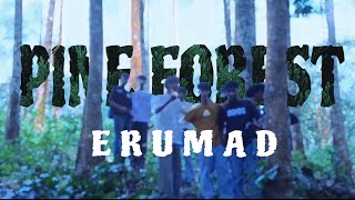 PINE FOREST  ERUMAD  TAMIL NADU  CINEMATIC TRAVEL VIDEO  TRAVEL EDIT [upl. by Carina]