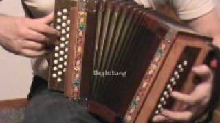 Swiss accordion trio Schwyzerörgeli trio [upl. by Attirb688]