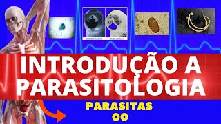 INTRODUÇÃO À PARASITOLOGIA RESUMÃO TOP  ENSINO SUPERIOR PARASITOLOGIA [upl. by Molly]