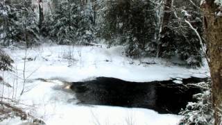 Gateway Creek on the Fen Lake Ski Trail  Algonquin Park [upl. by Aeuhsoj]