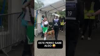 Este perro está entrenado para oler ciertas cosas 😯🤣 [upl. by Janela]