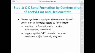 The Citric Acid Cycle [upl. by Nnairda921]