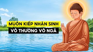 Muôn Kiếp Nhân Sinh  Vô Thường Vô Ngã Duyên Sinh [upl. by Nipsirc]