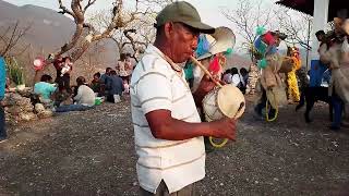 La Danza de los Tlacololeros de Zitlala Guerrero [upl. by Leuamme950]