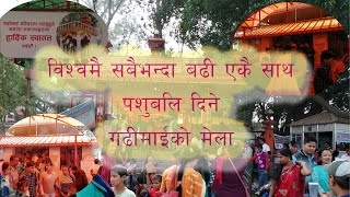 विश्वमै सबैभन्दा बढी एकै साथ पशुबलि दिने गढीमाईको मेला  gadhimai mela [upl. by Jarid]