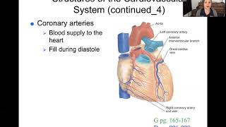 Perfusion Part 1  108 Fundamentals of Nursing II [upl. by Anne-Corinne]