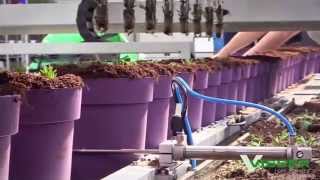 Visser Horti Systems  Pic O Mat Greenline for Pot Plants [upl. by Judas734]