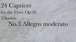 TBöhm24 Caprices For FLUTE No3 Allegro moderato [upl. by Postman]