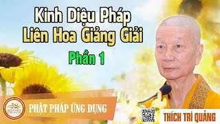 Kinh Diệu Pháp Liên Hoa Giảng Giải phần 1  Thầy Thích Trí Quảng giảng pháp [upl. by Poland580]