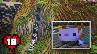 I Bred the RARE Blue Axolotl amp Built a Custom Waterfall in Hardcore Minecraft 18 [upl. by Ancell]