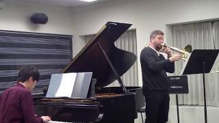 Pollard Lebedev Concerto in One movement reference video [upl. by Brien991]