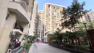 Golf Avenue 2 Sector 75  Flats For Rent in Sector 75  Flats For Sell in Noida [upl. by Hahseram]