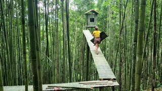 Girl building a tent on top of a bamboo tree Wild Girl [upl. by Flam]