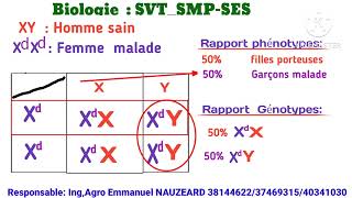 Texte modèle Biologie SVTSMPSES Daltonisme 2024 [upl. by Angle821]