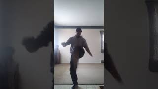 Kung Fu Freestyle Combo kungfu martialarts kick shaolinkungfu [upl. by Wendye]