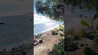 Benalmadena Coast 🇪🇦  amazing chillout spot  October 2024  Malaga  Spain  4K [upl. by Steck]