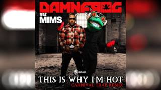 DamnFrog Ft MiMs  Im Hot Carnival Trap Remix [upl. by Riane]