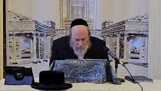 Preparing Ourselves For Yom Kippur  Rabbi Moshe Weinberger Tishrei 5785 [upl. by Lahcar]