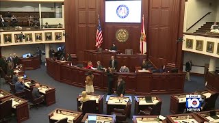 Florida House approves permitless carry bill [upl. by Aires]