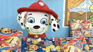 Patrulla canina españolMarshall fiesta cumpleaños feliz cachorro bomberoNuevos videos paw patrol [upl. by Nnelg]