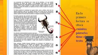 Técnicas de comprensión lectora [upl. by Leumas]