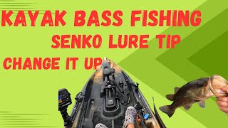 Senko Worm Lure Tip Improve your Kayak Bass Fishing When You Change It Up [upl. by Jessen551]