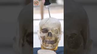 ☠️😱😱Wasp Injector Knife The Worlds Most Dangerous Weapon [upl. by Pamella464]