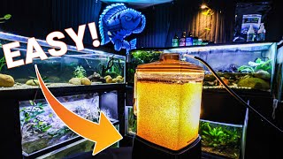 Hatching Baby Brine Shrimp is EASIER Than You Think [upl. by Nnaeed]