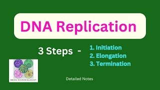 DNA ReplicationInitiationElongationTerminationProkaryotesEukaryotesSemiconservativeTelomerase [upl. by Assehc]