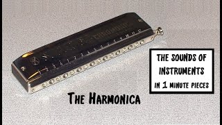 The Harmonica The Sounds of Instruments in 1 min pieces [upl. by Ayeki]