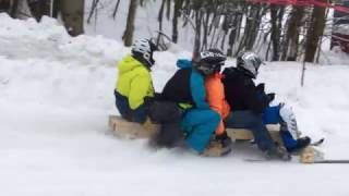 Homebuilt Bobsleigh Fail [upl. by Agan912]