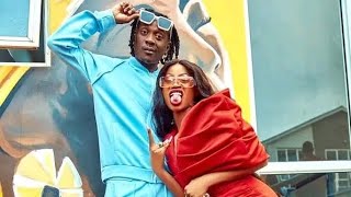 Bwe paba  Sheebah ft Fik Famaica Official dance Hd video 2023allannation [upl. by Garrik]