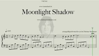 Moonlight Shadow  Easy Piano [upl. by Laet]