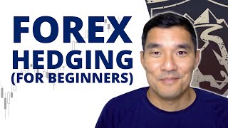 Forex Hedging for Beginners old version [upl. by Romonda]