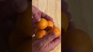 Modeling octahedral and tetrahedral holes with fruit [upl. by Russ94]