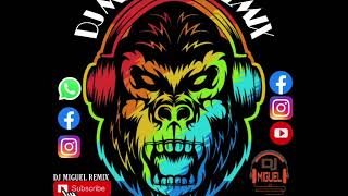 DJ MIGUEL REMIX CHICHA MIX VOL 7 DESDE CAYAMBE ECUADOR MIGUEL PRODUCCIONES MUSIC [upl. by Adniuqal827]